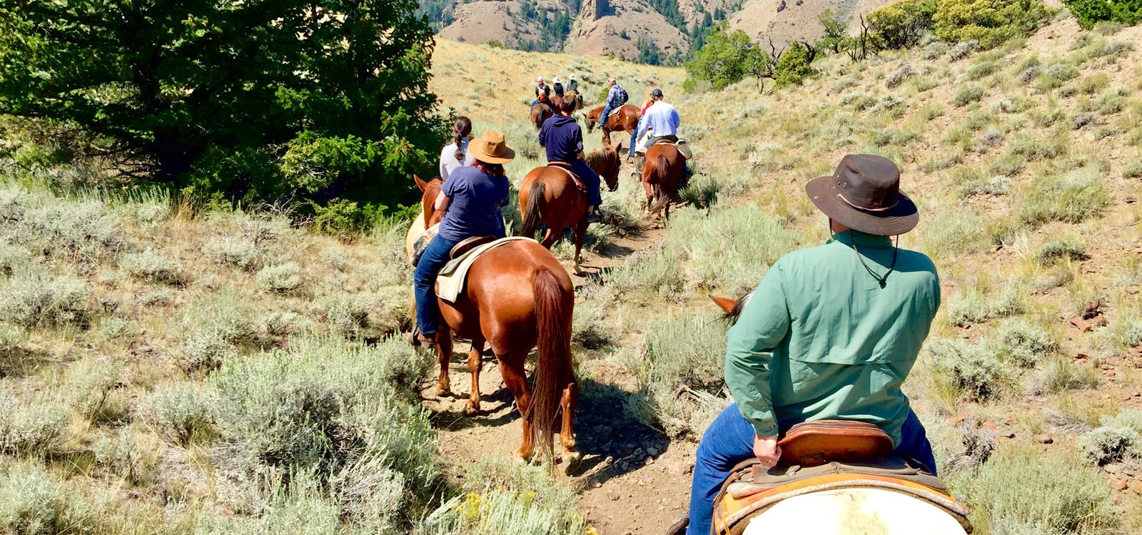 Horseback Riding Trail Rides Horseback Riding Bill Cody Ranch